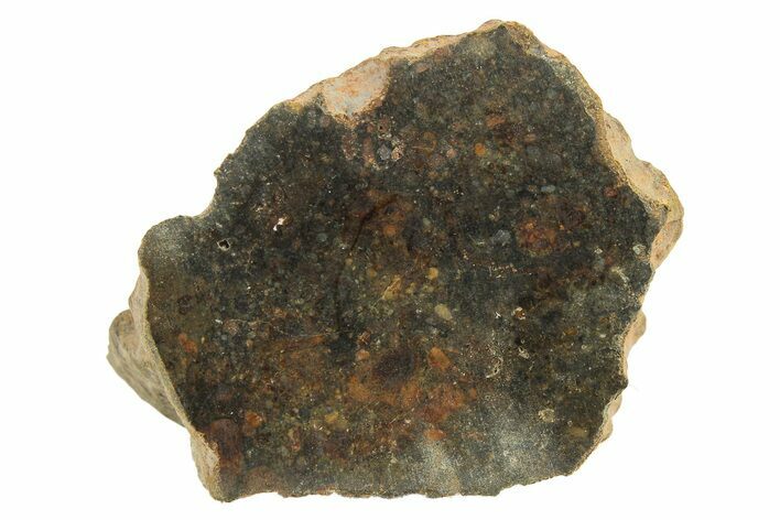 Polished Howardite Meteorite Section ( g) - Bechar #286929